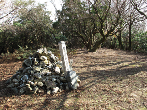 20131124hike (353)